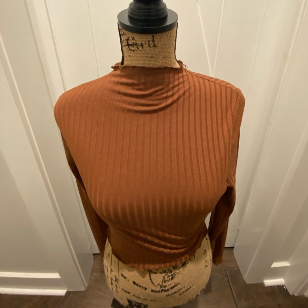 brown-ish gold long sleeve v neck
